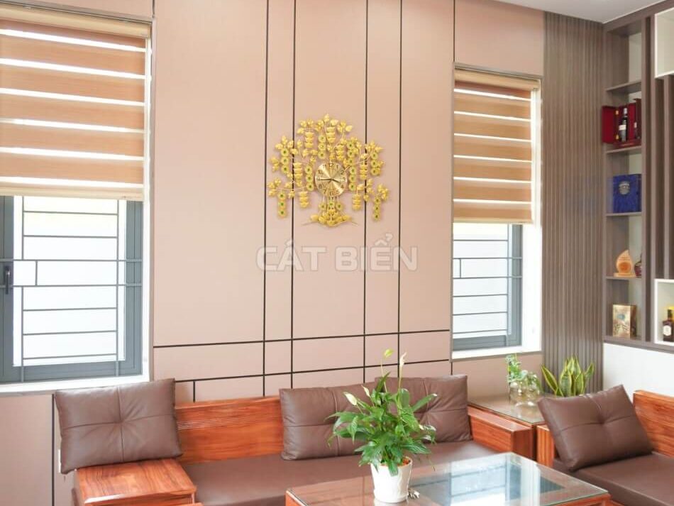 Hoàn Thành Mẫu Nhà Biệt Thự 2 Tầng Mặt Tiền 9m Đầy Sang Trọng
