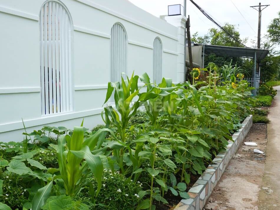 Review Nhà Mái Nhật Sân Vườn Không Gian Lý Tưởng | CB06147 Review Nhà Mái Nhật Sân Vườn Không Gian Lý Tưởng | CB06147
